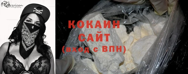 индика Бронницы