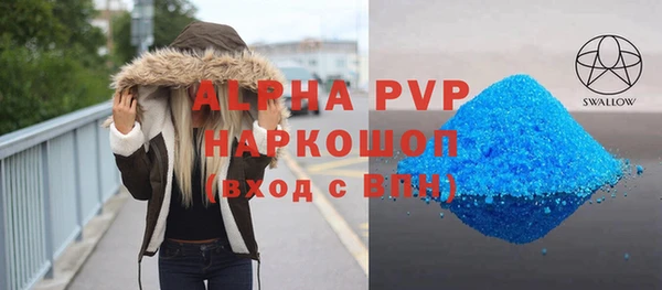 СК Бородино