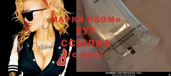 индика Бронницы