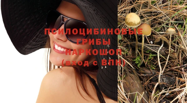 индика Бронницы