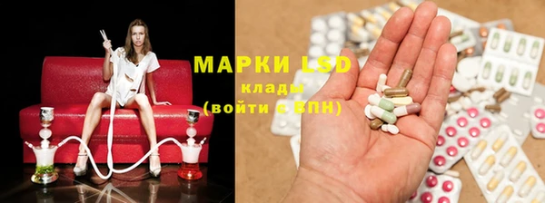 индика Бронницы