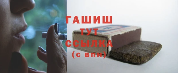 индика Бронницы