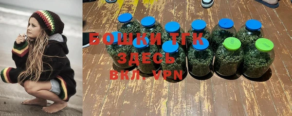 СК Бородино