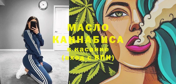 индика Бронницы