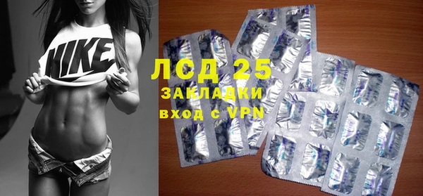 индика Бронницы