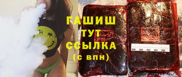 индика Бронницы