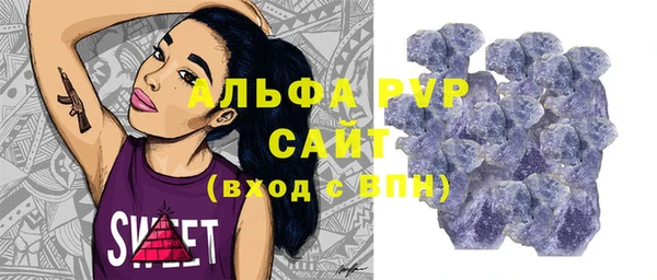 индика Бронницы