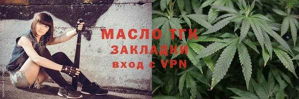 индика Бронницы