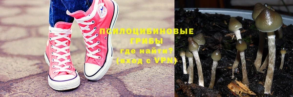 СК Бородино