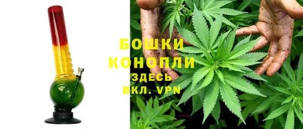 СК Бородино