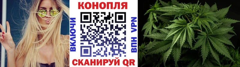 Купить  Чехов  Конопля Bruce Banner 